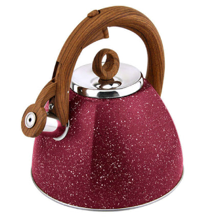 Stainless Steel Tea Kettle Whistling 3.2-Quart Kettle Teapot