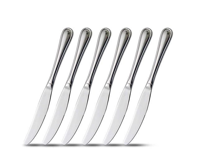 12-Piece Stainless Steel Silverware Dinner Knives